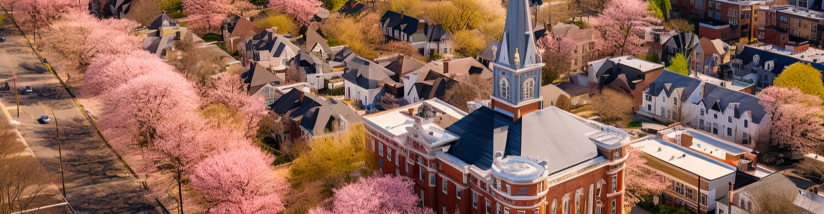An aerial view of a city with pink blossoming trees.